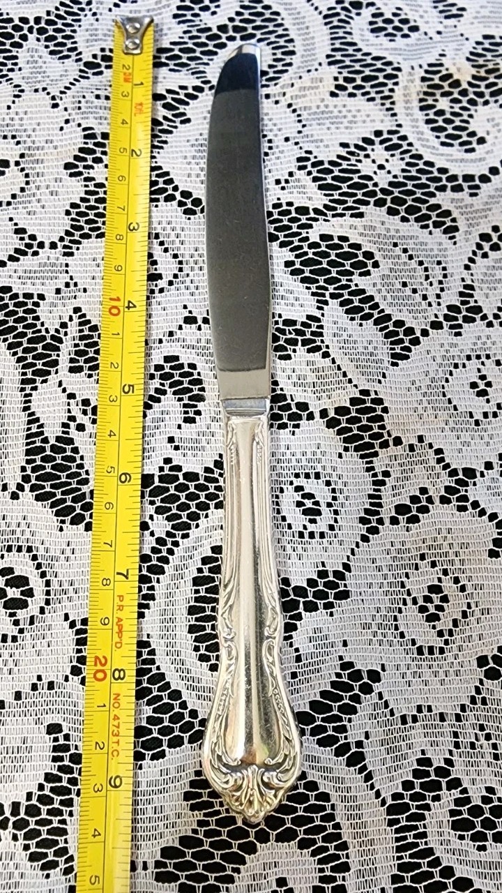 VINTAGE c1958 JASMINE/CHALICE/ HARMONY SILVERPLATE MODERN HOLLOW DINNER KNIFE 🍽
