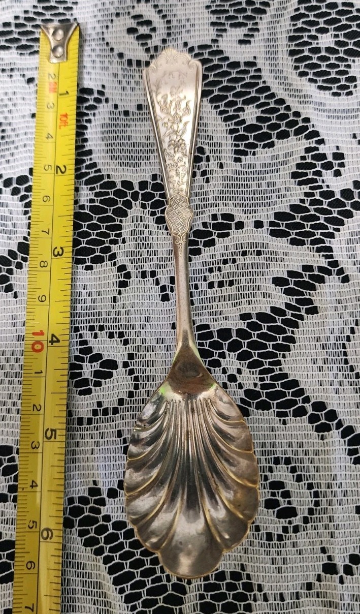 😜QUAKER VALLEY ANTIQUE c1910 WILLIAM PENN SILVERPLATED SUGAR SHELL SPOON 🍚