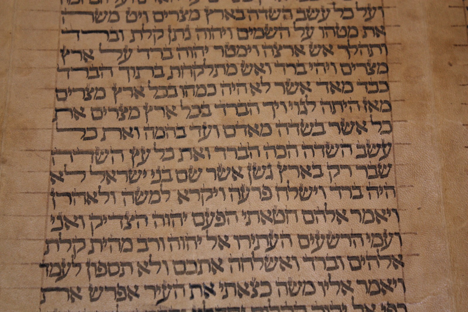 ANCIENT COMPLETE TORAH BIBLE MANUSCRIPT SCROLL DEER PARCHMENT 450 YRS ITALY