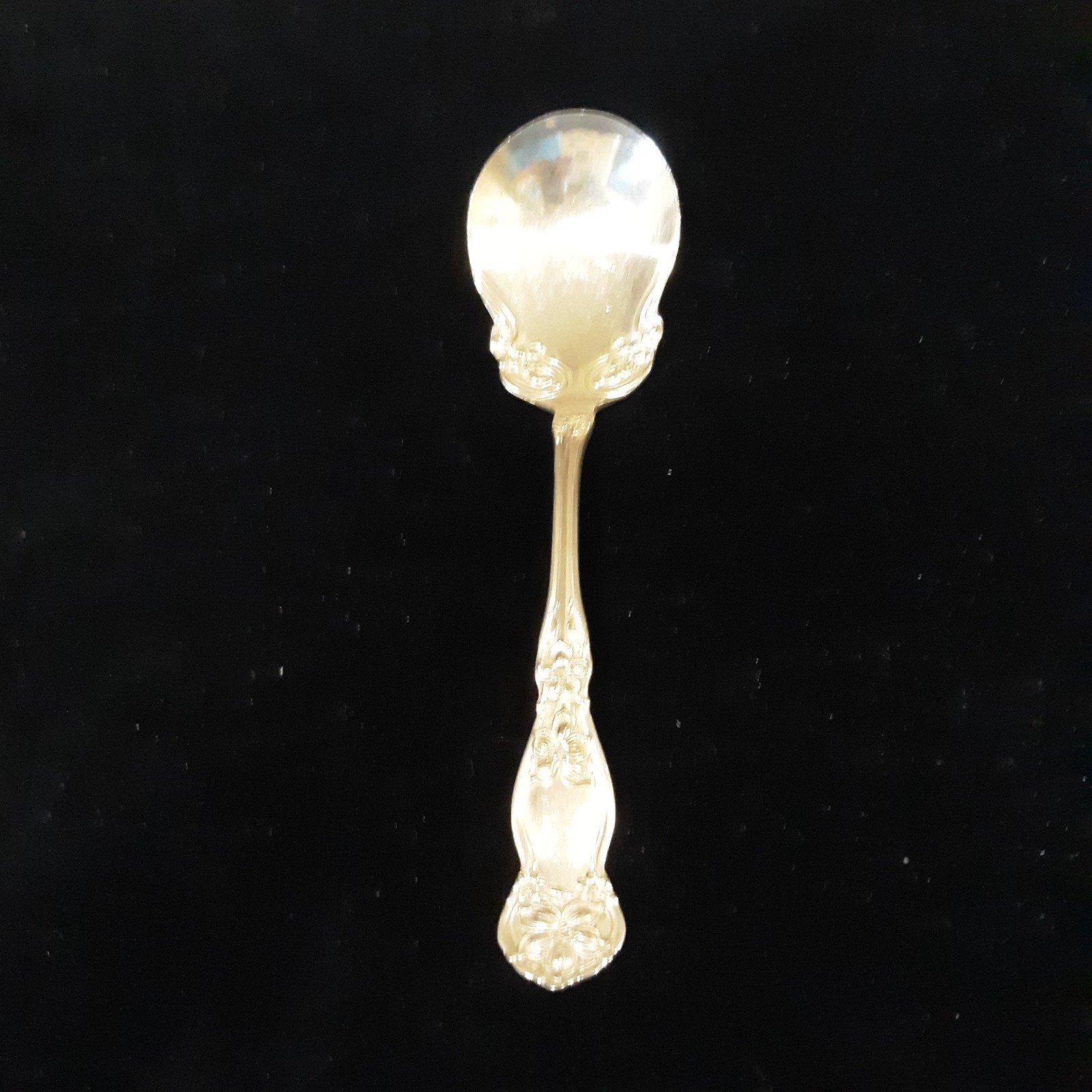 Wm. Rogers & Son Company Orange Blossom AA Silver Plate Berry/Sugar Spoon-EPOC