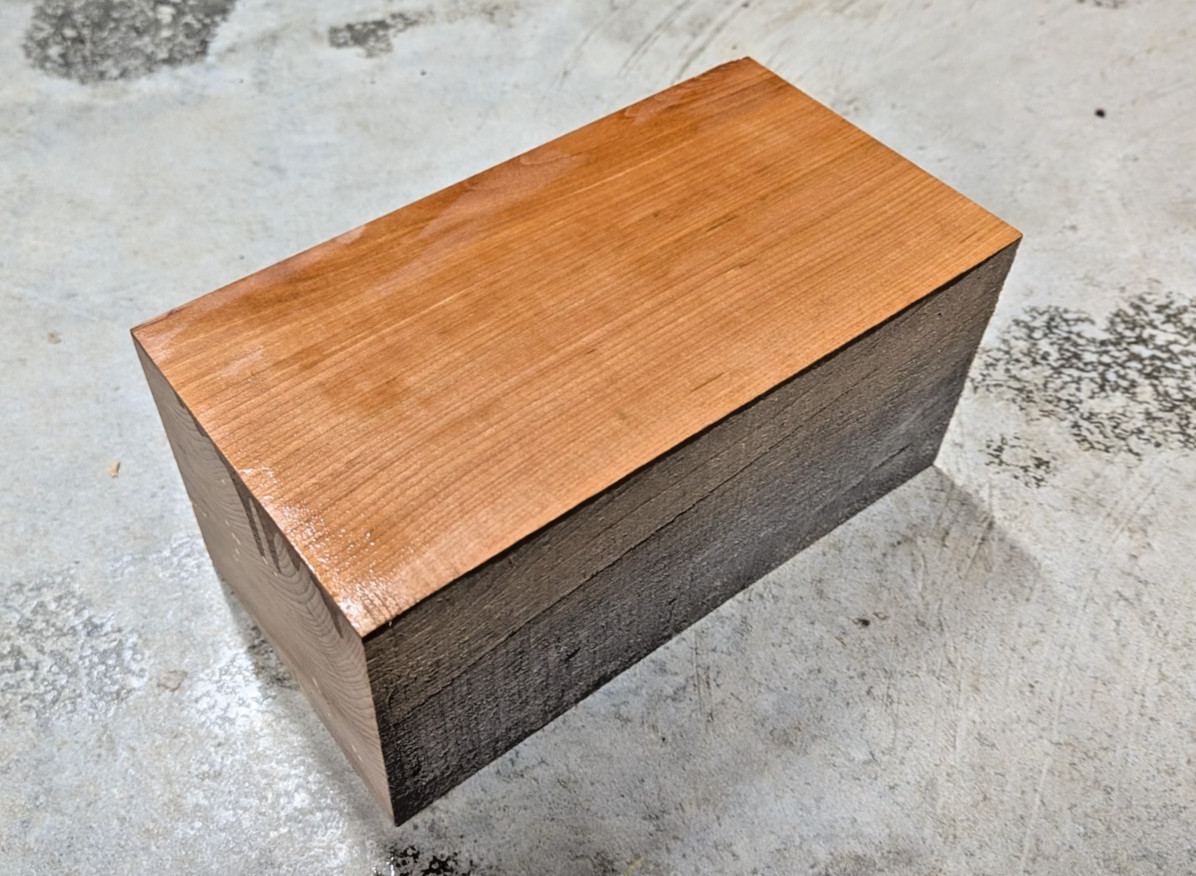 Ironwood – RARE – American Eastern Hophornbeam