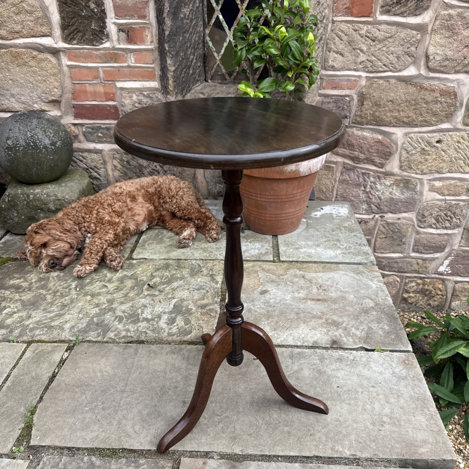 Occasional Wine Table Tripod Wood Turned Column Varnished Side Table Home Decor