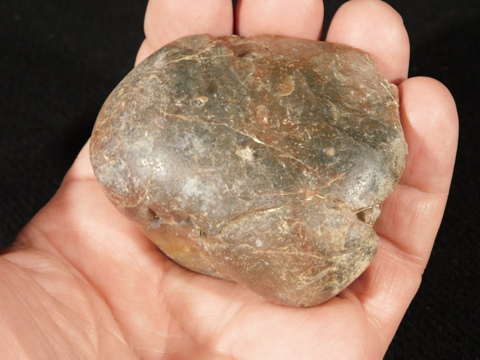 Lot of FOUR! Big DINOSAUR Gastrolith or STOMACH Stones 100% Natural Utah 1010gr