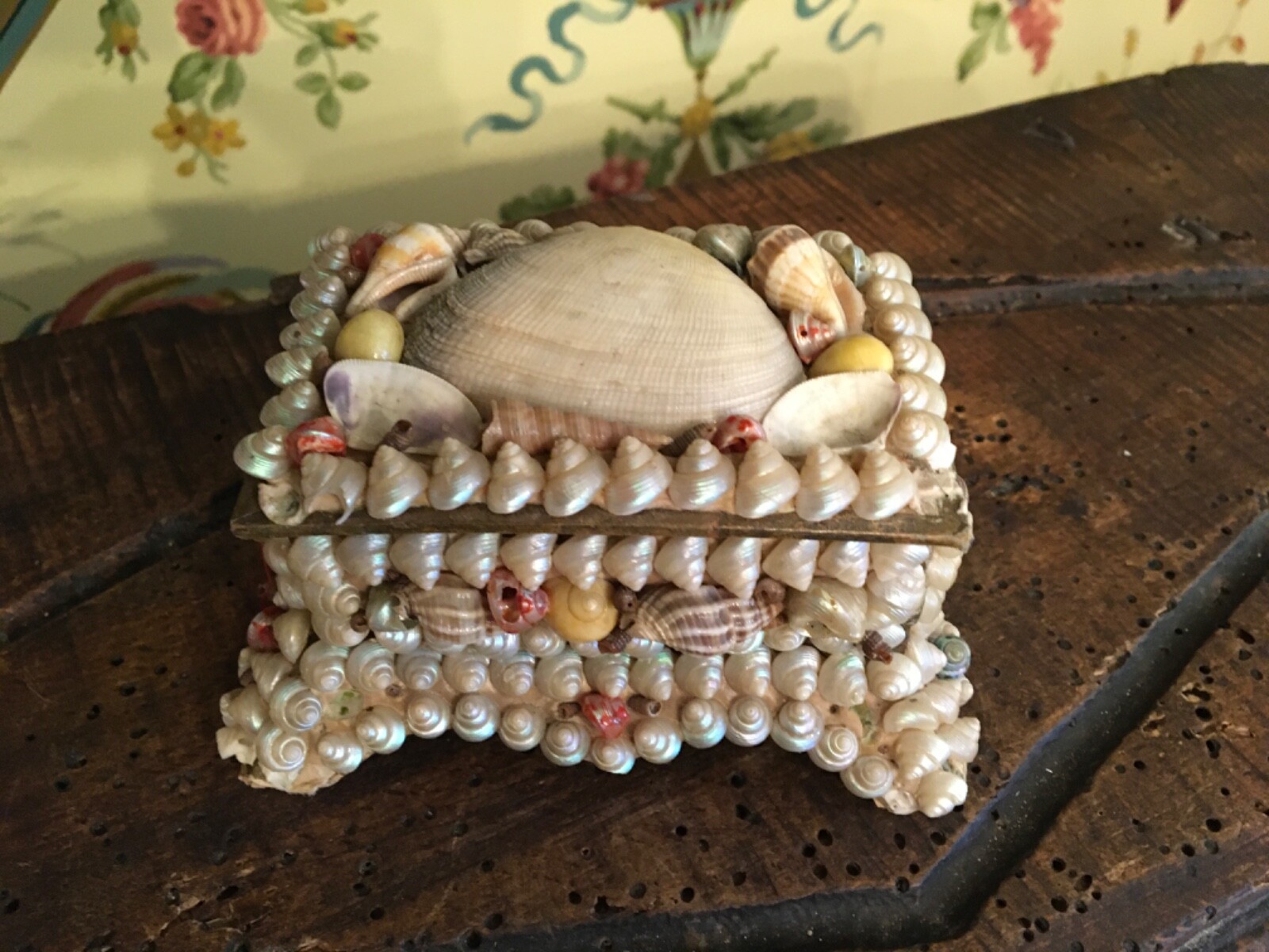 French Sea Shell Art Box Maritime Souvenir South of France
