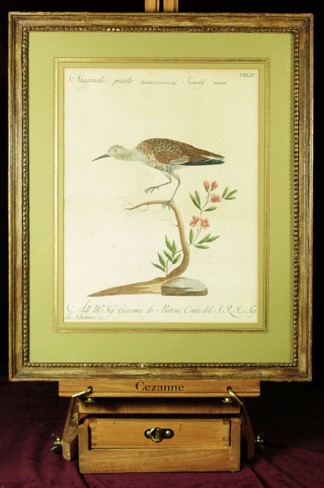 Etching, hand colored, Mid 18th C, Saverio Manetti, Lorenzo Lorenzi and Violante