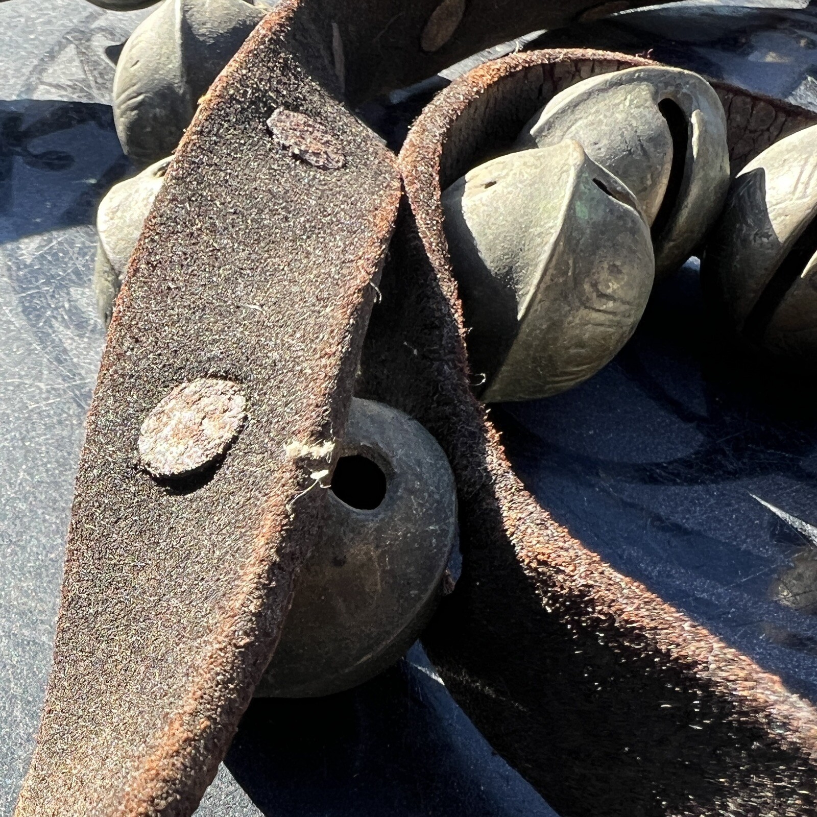 Antique Worn Leather Horse Strap w/ 23 #2 Decorated Brass Sleigh Bells