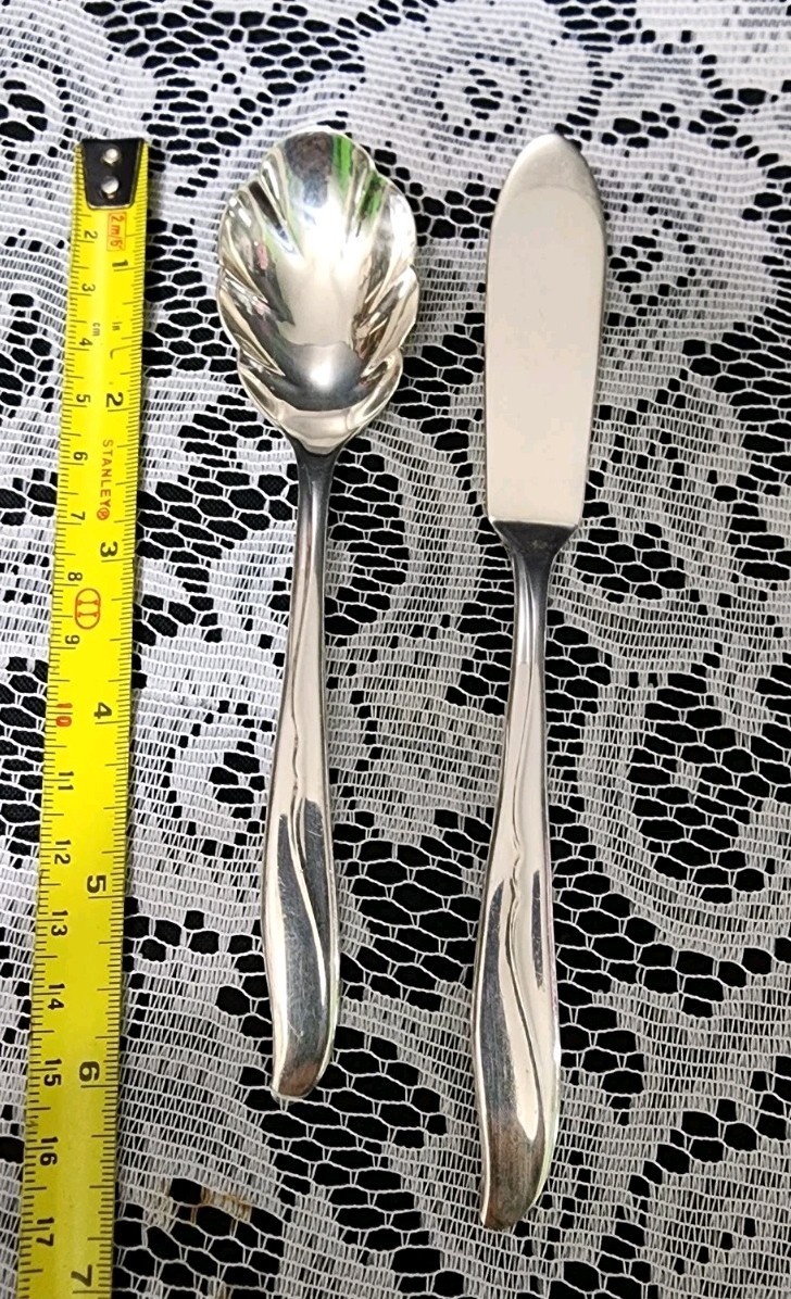 MID-CENTURY c1956 SEA WINGS🪽SILVERPLATED MASTER BUTTER KNIFE & SUGAR SPOON🧈🍚