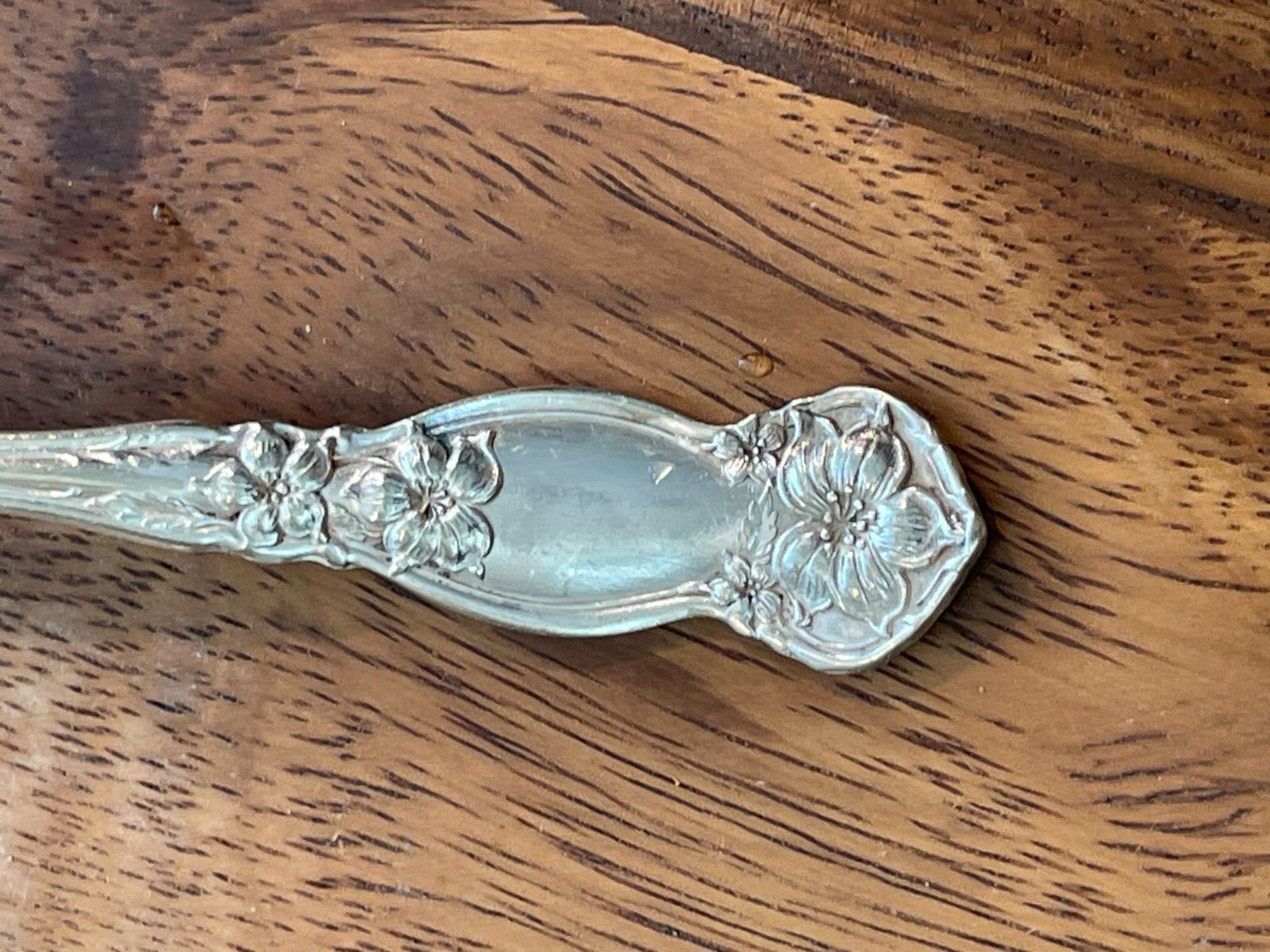 2 Arbutus Round Gumbo Soup Spoons – Wm Rogers & Son Silverplate