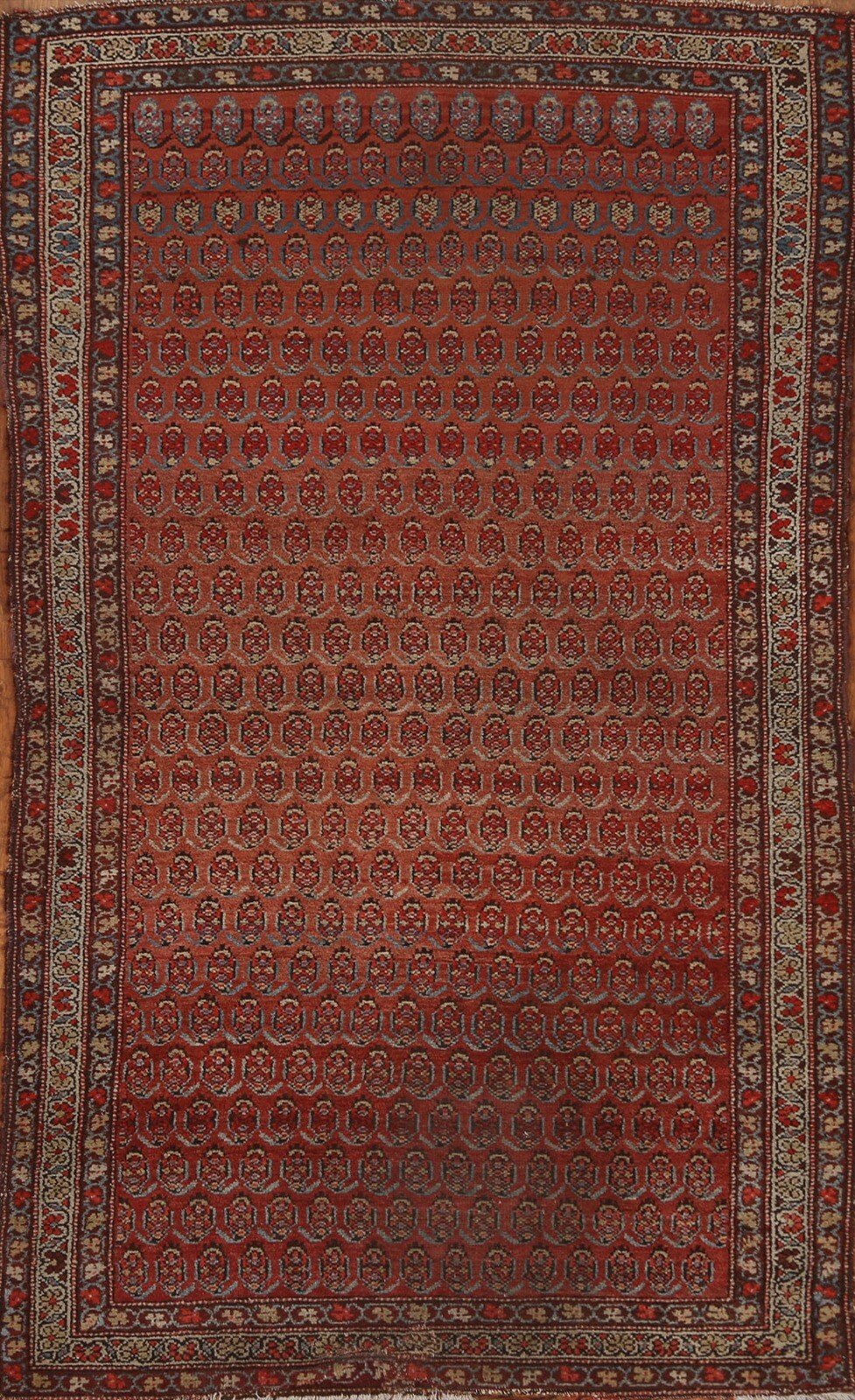 Pre-1900 Antique Hamedan Area Rug 3’x6′ Vegetable Dye Hand-knotted