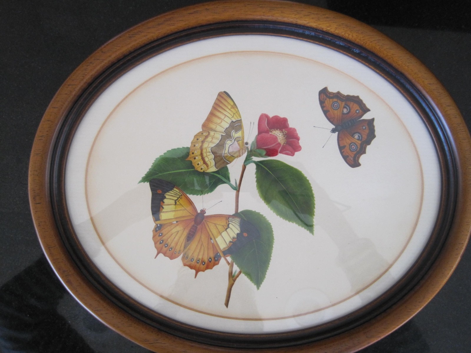 2 ORIGINAL  ANTIQUE ENGLISH FLORAL AND BUTTERFLIES IN FRAMED PICTURES