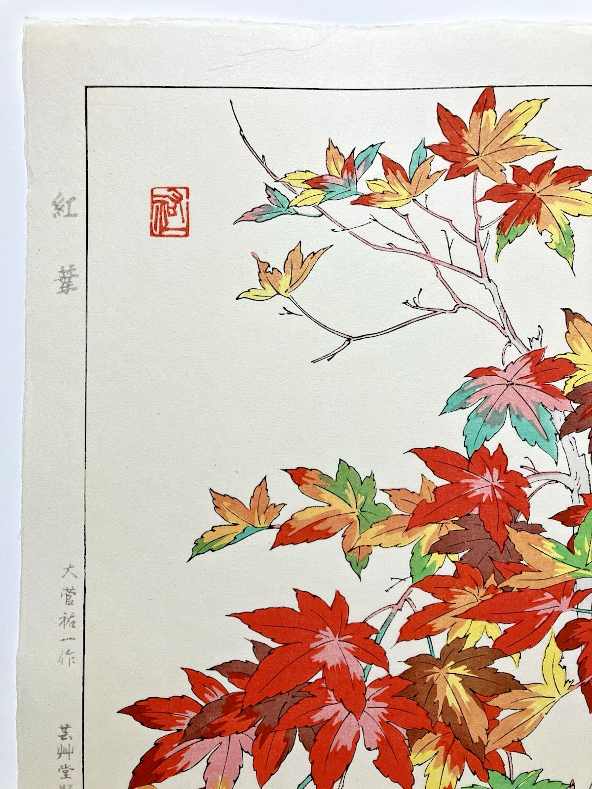 Yuichi Osuga Woodblock Print “Maple” Kyoto Unsodo Flower Prints