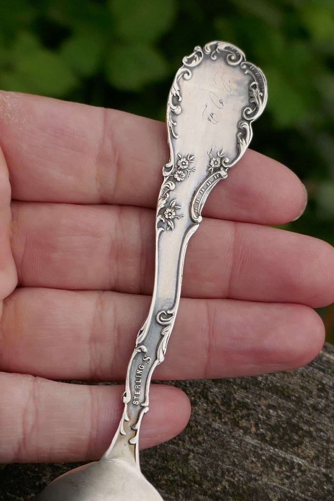 Ant Sterling Normal School – St. Cloud, Minnesota Souvenir Spoon – Engraved Bowl