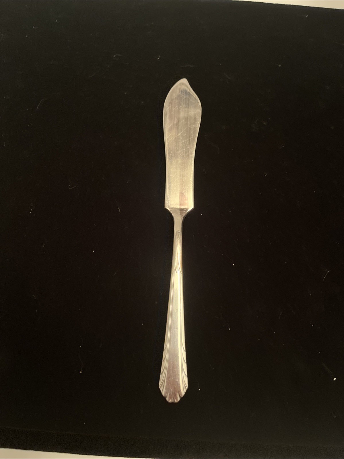 VTG NTS16 (Silverplate) by National Silver Co 68 Pieces Flatware. Certificate
