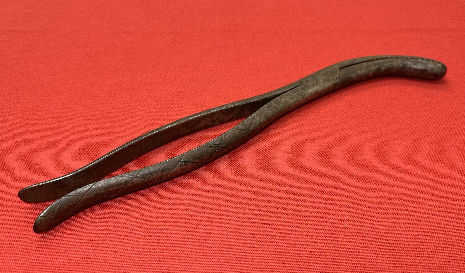 1801-1850 CRANIOTOMY CRANIOCLAST FORCEPS (CIVIL WAR ERA) BY TIEMANN & CO. #3