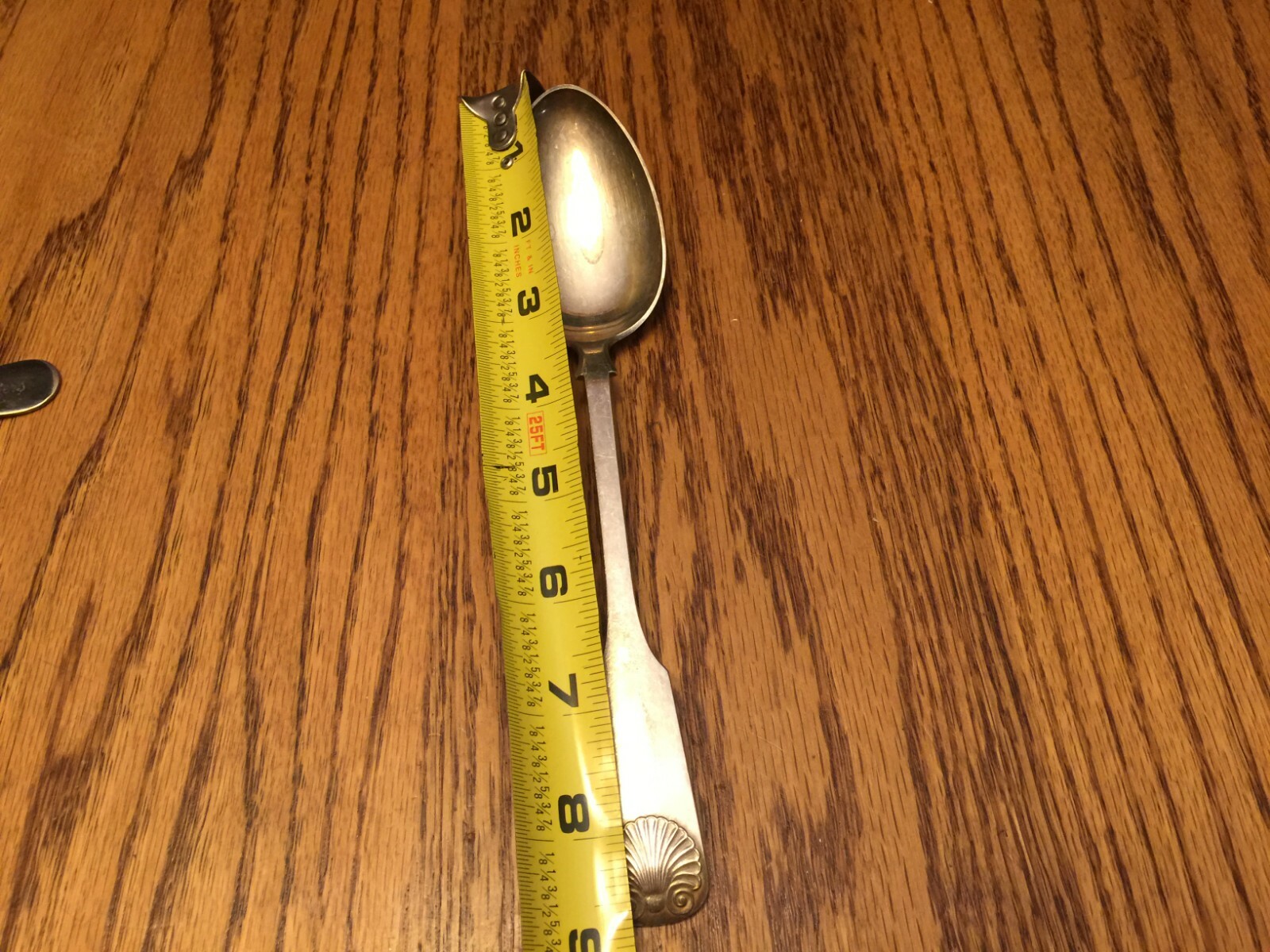 Fiddle shell handle ABSA Serving Spoon 8 1/2″