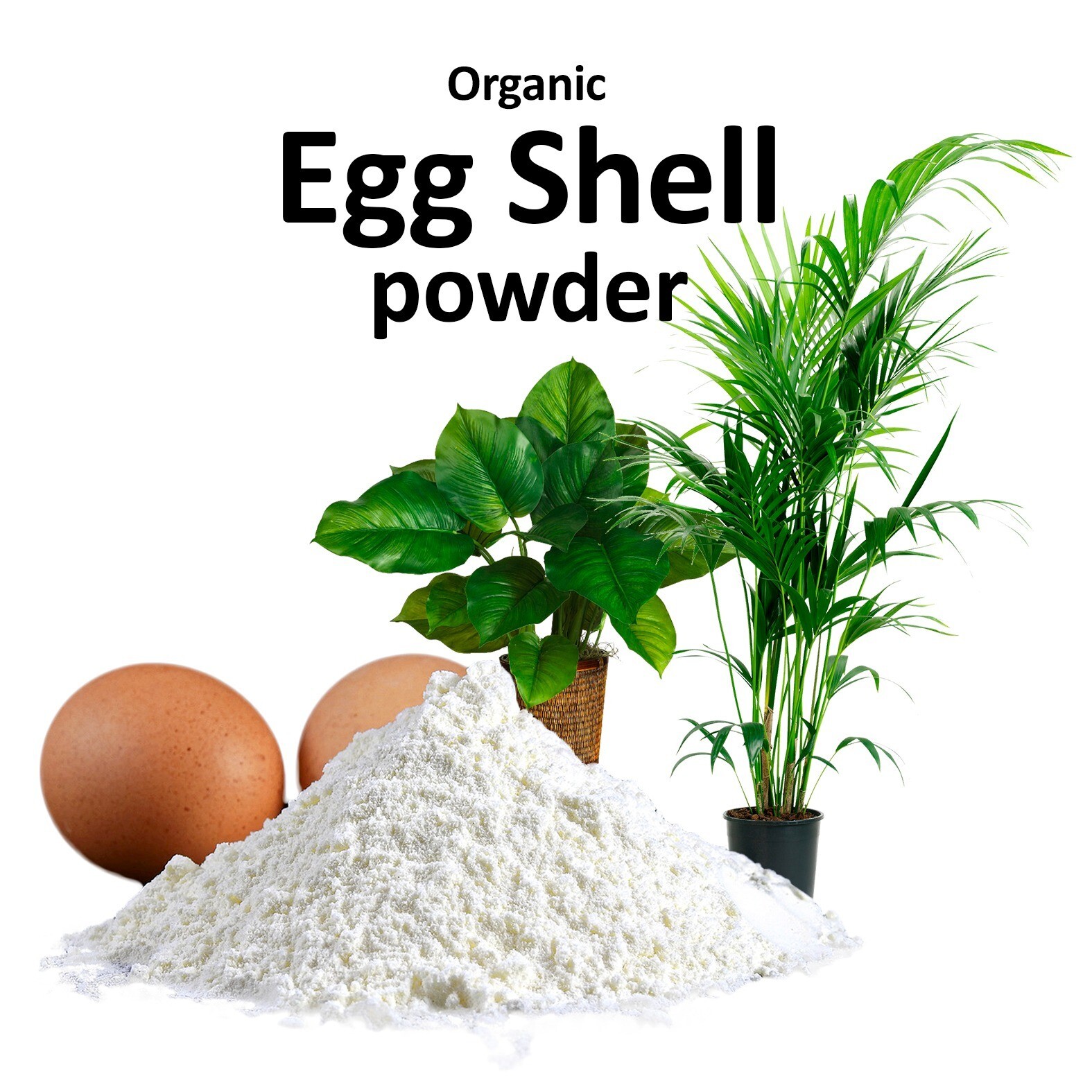 1 lb Organic egg shell powder use as Fertilizer or for all animals supplement