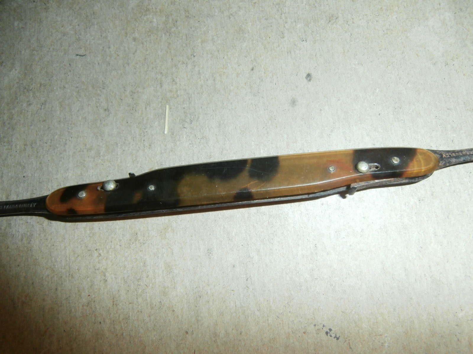 Antique Shepard & Dudley Tortoise Shell Scalpel Knife & Hook Medical Lancet ?