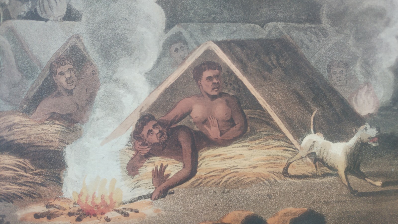 John William Lewin 1813 Repose