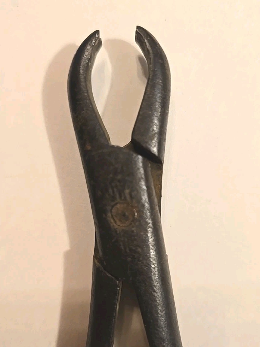 Pre Civil War Primitive Hand Wrought Dental Extraction Pliers, 7.5″ Dentist Tool