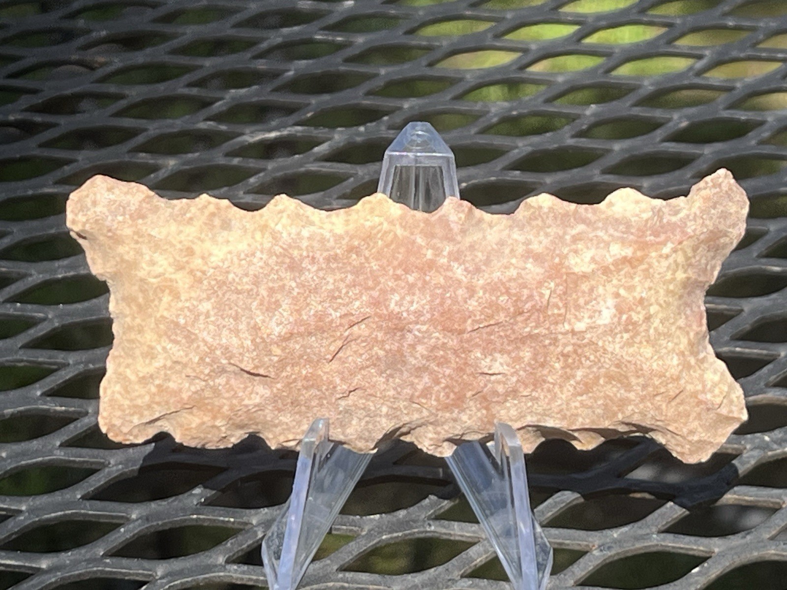 Mayan Eccentric Centipede PreColumbian Ancient Artifact Toltec Olmec Zapotec