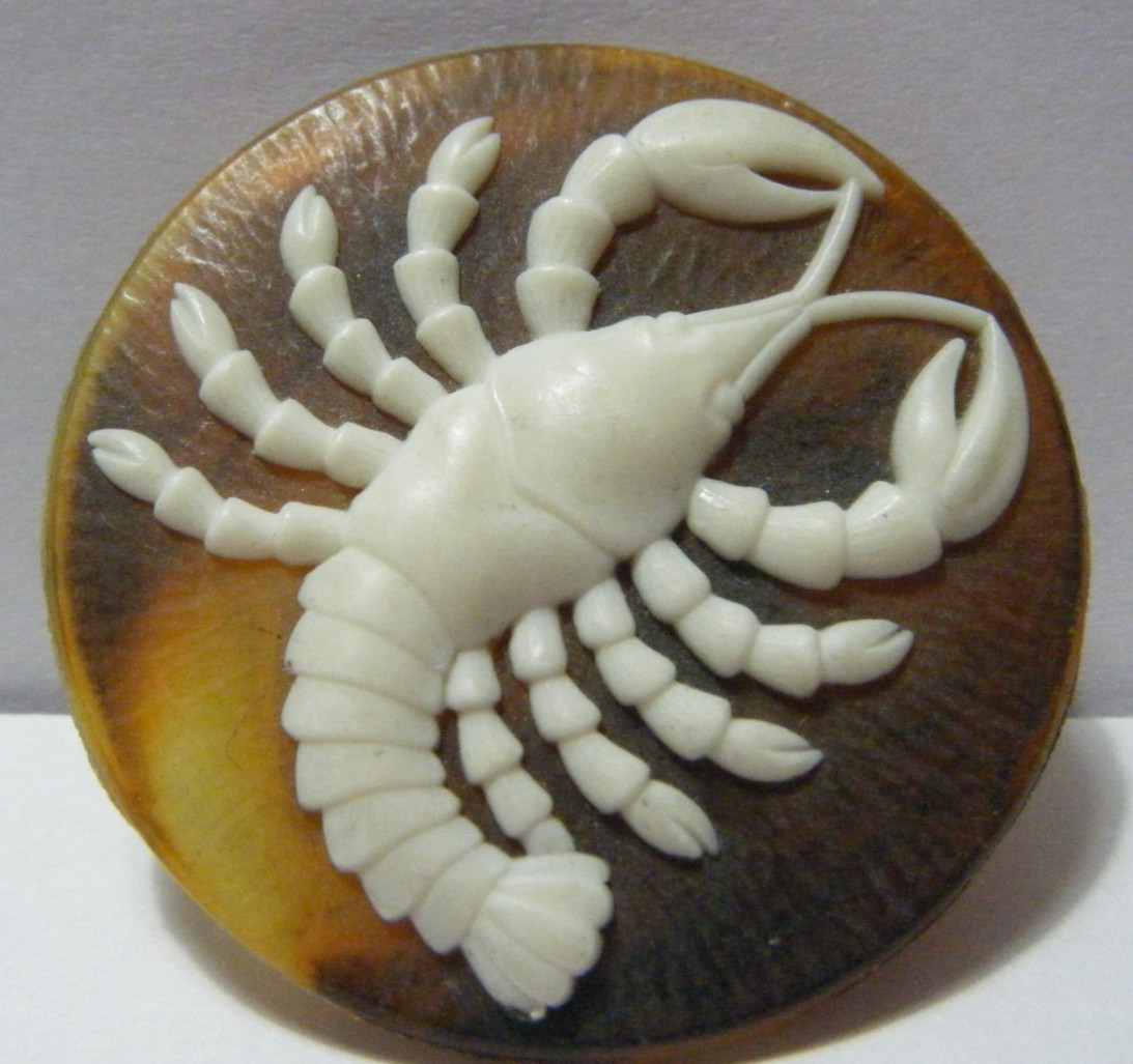Vtg picture button carved scorpion, tortoise shell, metal shank 1.75″ D