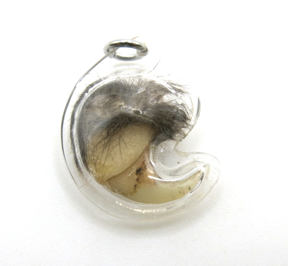 Vintage Thai Amulet Authentic Claw Pendant Protection Charm Lep Seur Tiger
