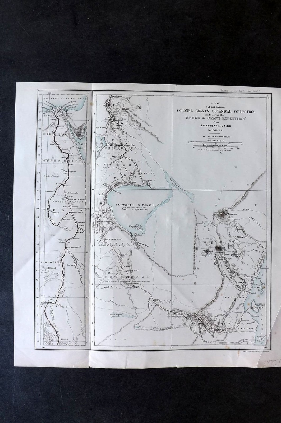 Johnston 1870’s Map. Col Grants Botanical Collection. Zanzibar to Cairo. Africa