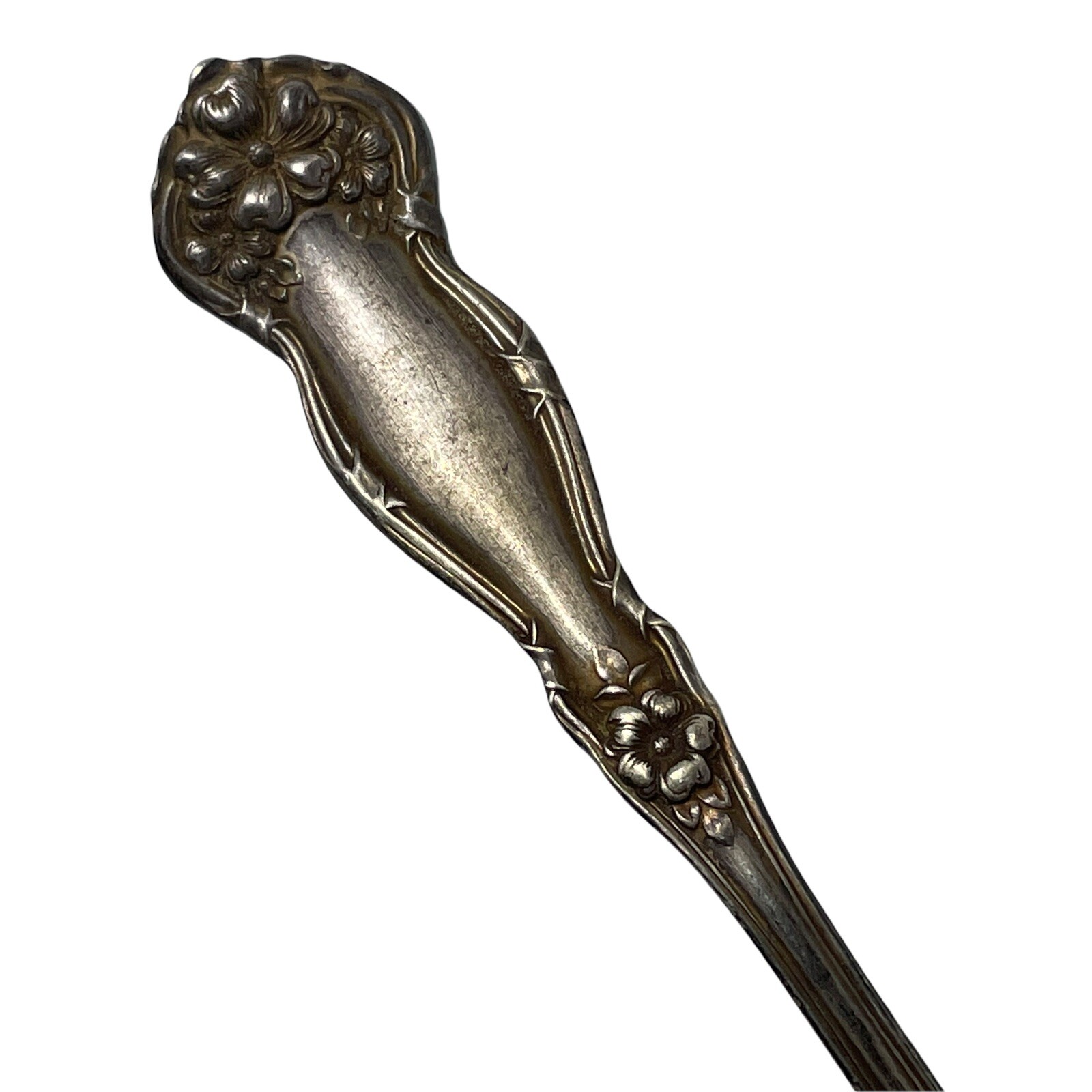 Wm. ROGERS & SONS 1908 ARBUTUS PATTERN 6″ SPOON VINTAGE