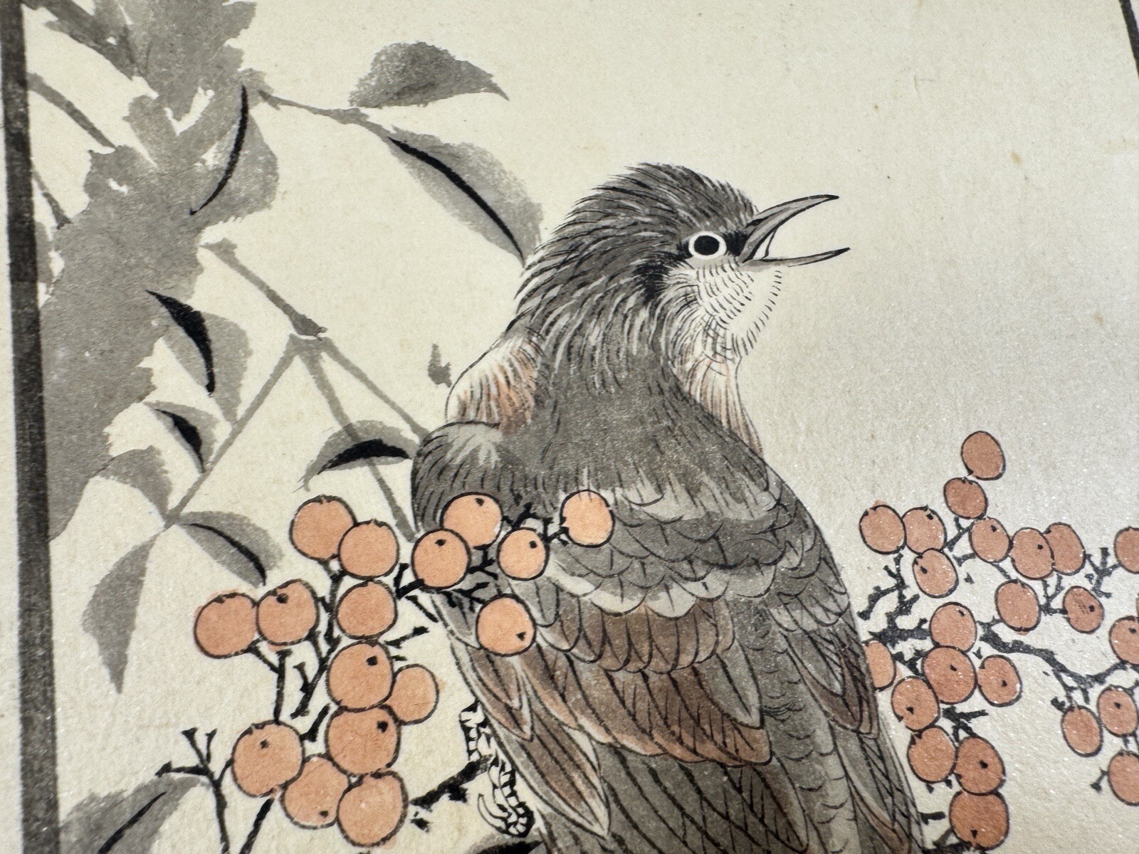 Japanese Drawing Book “Kachoshu” Picture of birds and flowers 49 illustration