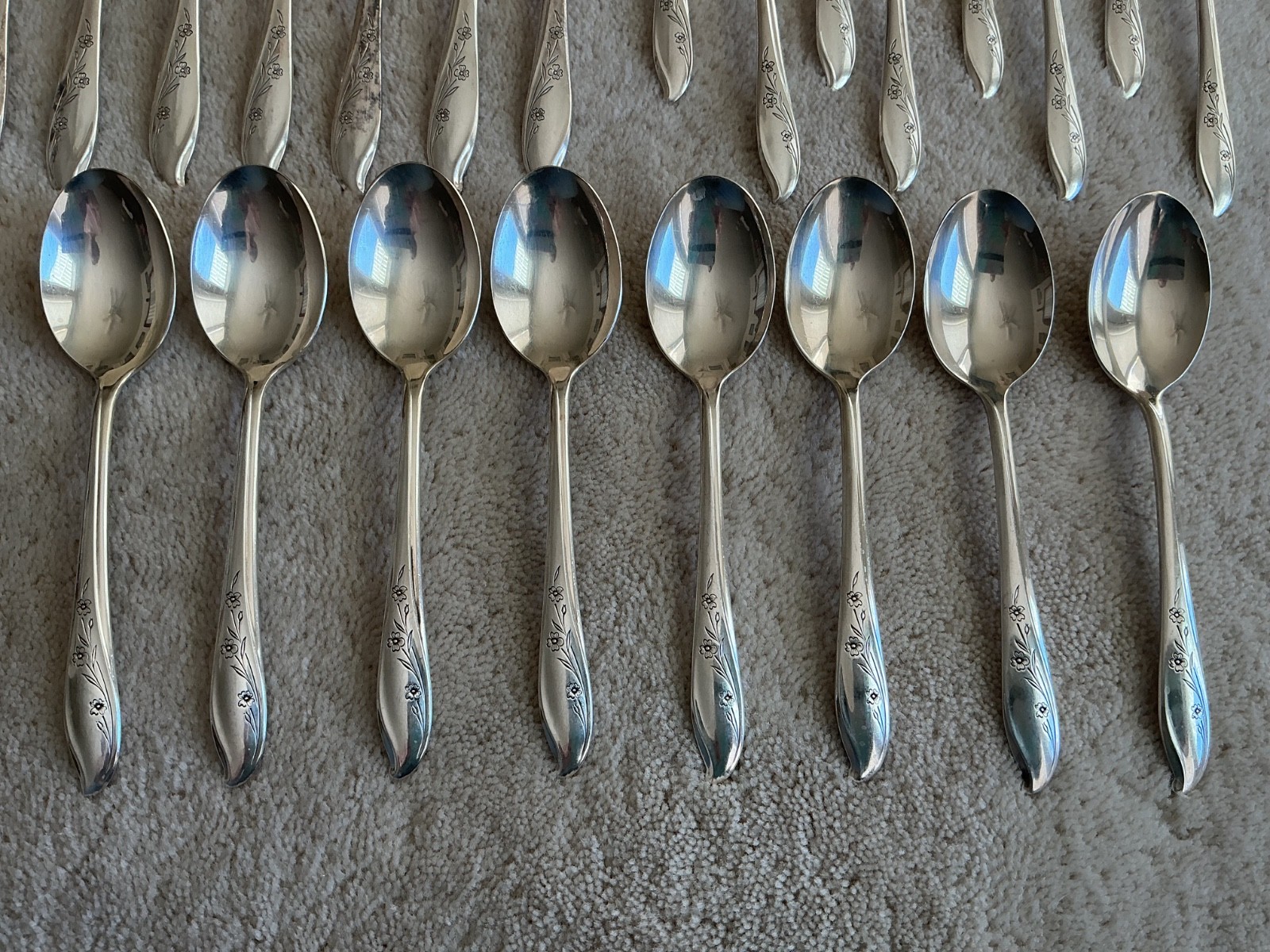 Roger Bros SPRINGTIME Silverplate Flatware Silverware 50 Piece Set, Serving Pcs