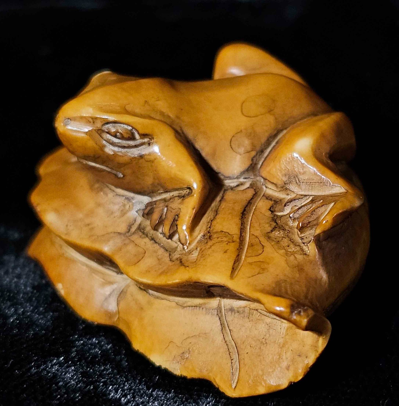 Antique Japanese Netsuke Signed Boxwood Katabori Frog On Lily Pad Late 19thc