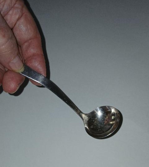 Vintage 1881 Rogers Oneida Ltd Silverplate Flatware Gravy Spoon Ladle FREE SHIP