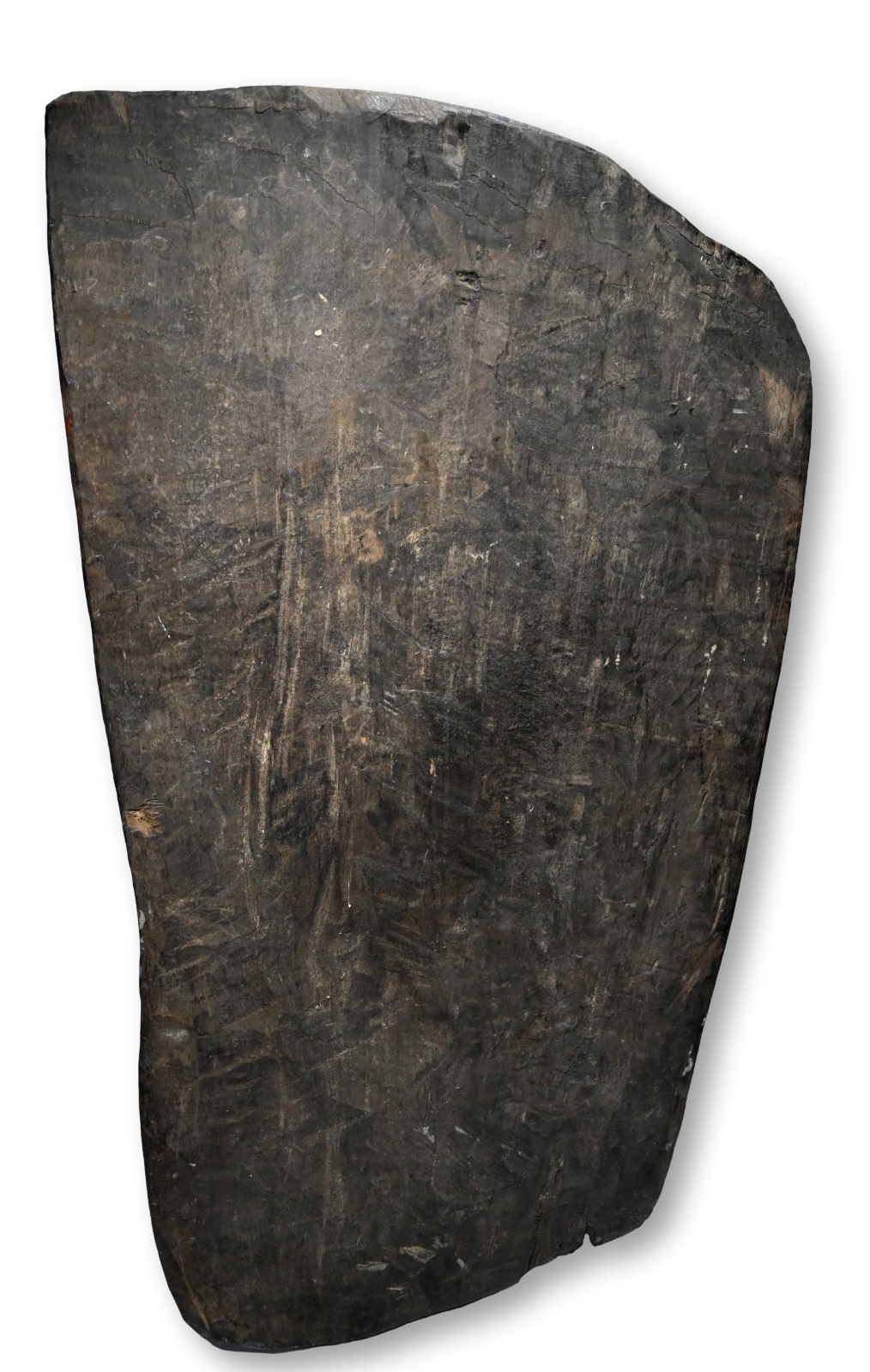 A Kalam Fighting Shield Field Collected 1981