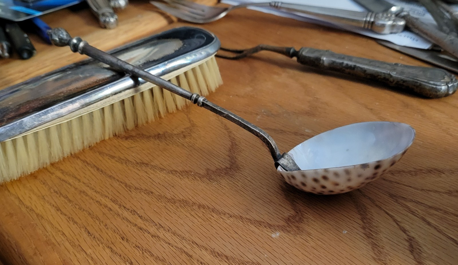 Silver & Tiger Cowrie Shell Ladle Signed Francis Parsons Dated 1818 Exeter RARE