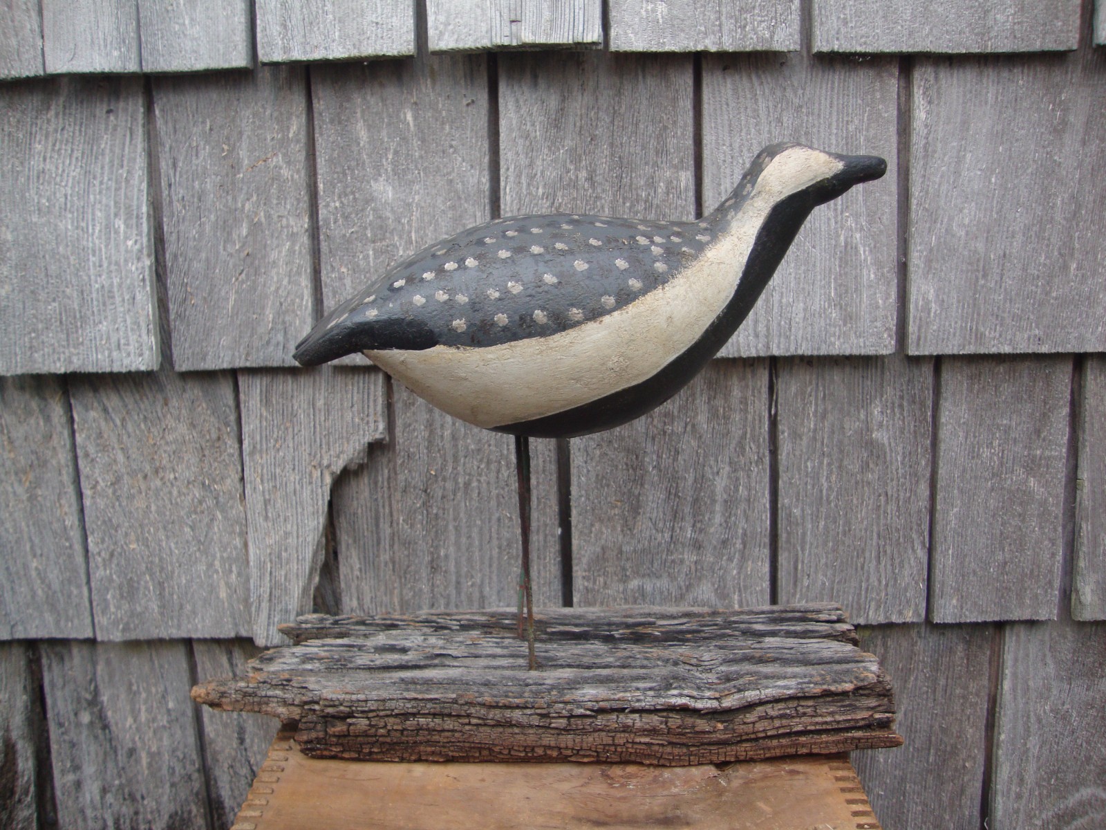 FOLK ART PLOVER SHOREBIRD DECOY OLD PRIMITIVE ANTIQUE LURE
