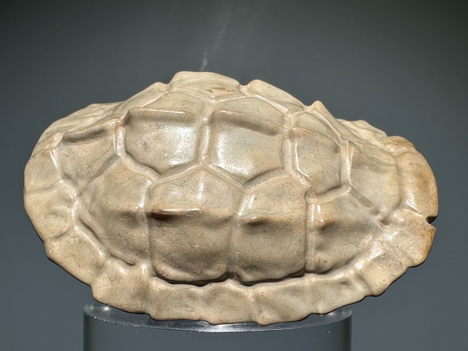Rare Shang Dy Old Jade Carved Turtle shell Design “Gua Jian” Pendant L 6.9 CM