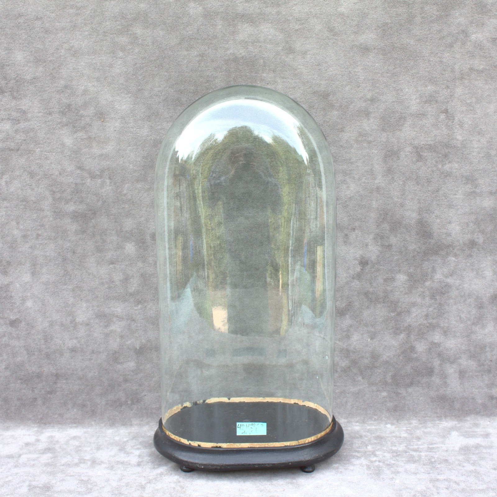 Antique Oval Glass Dome 48 x 24,5 x 16,5 cm Bell Jar 18.90 x 9.65 x 6.50″ Victor