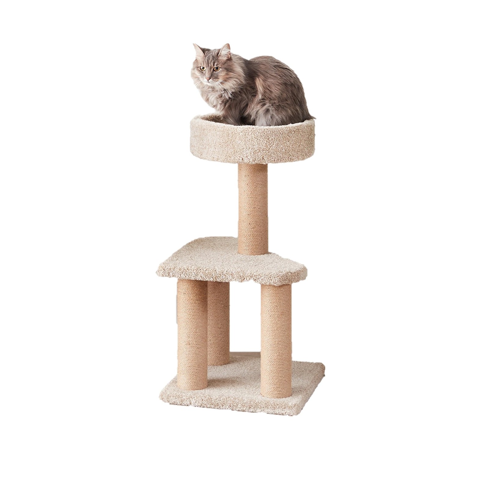 Amazon Basics Cat Tree – Indoor Multi-Level Climbing Activity Tower for Cats/Kit