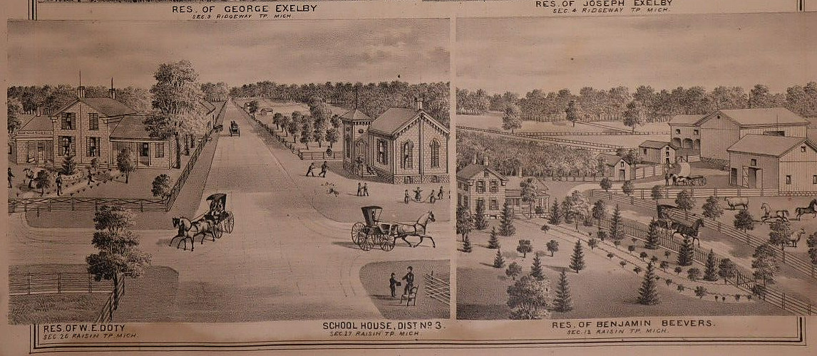1874 Plat Map ~ RIDGEWAY Twp., LENAWEE Co., MICHIGAN / Local Homes on Reverse