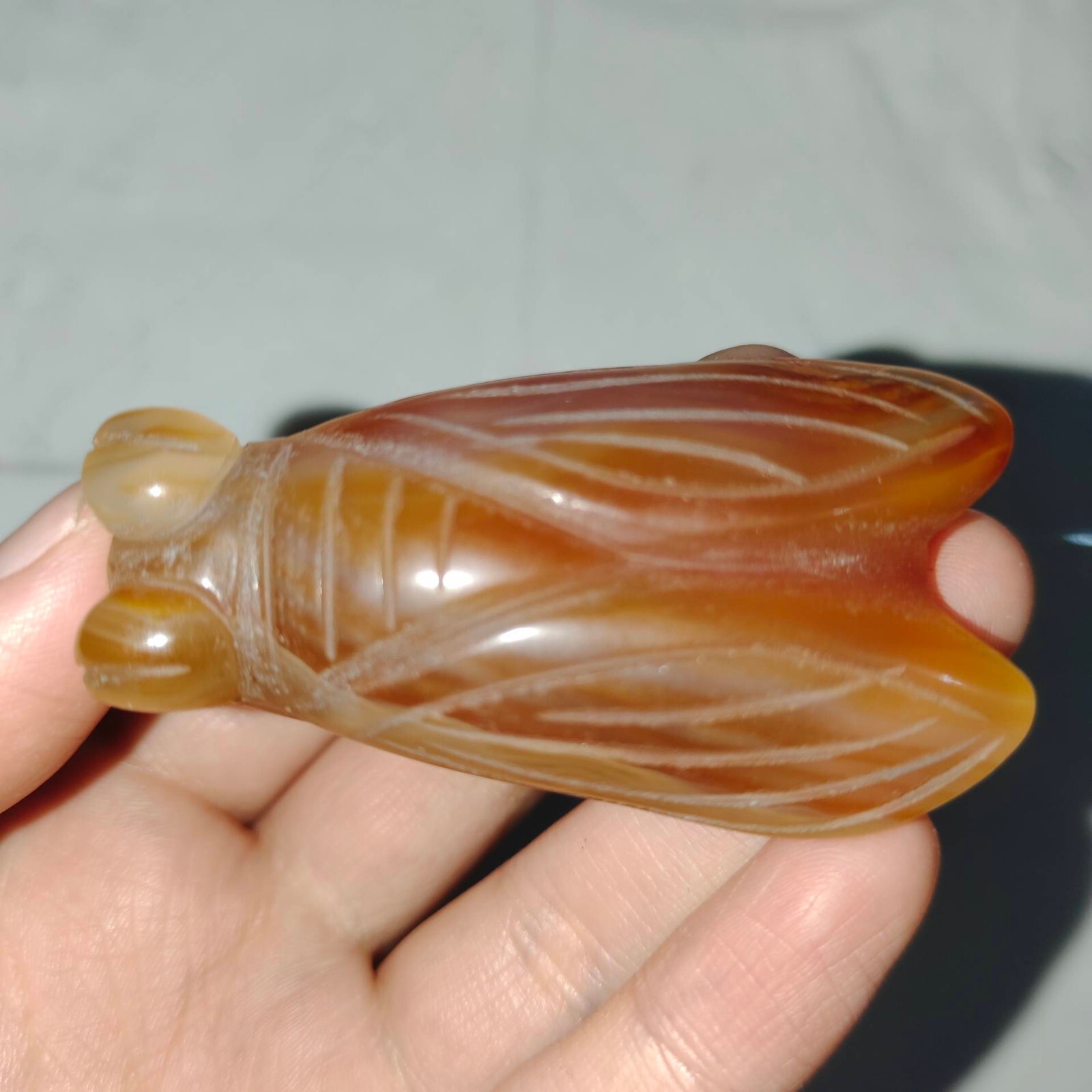 China Hongshan culture Natural Agate Onyx carved cicada statue fengshui pendant