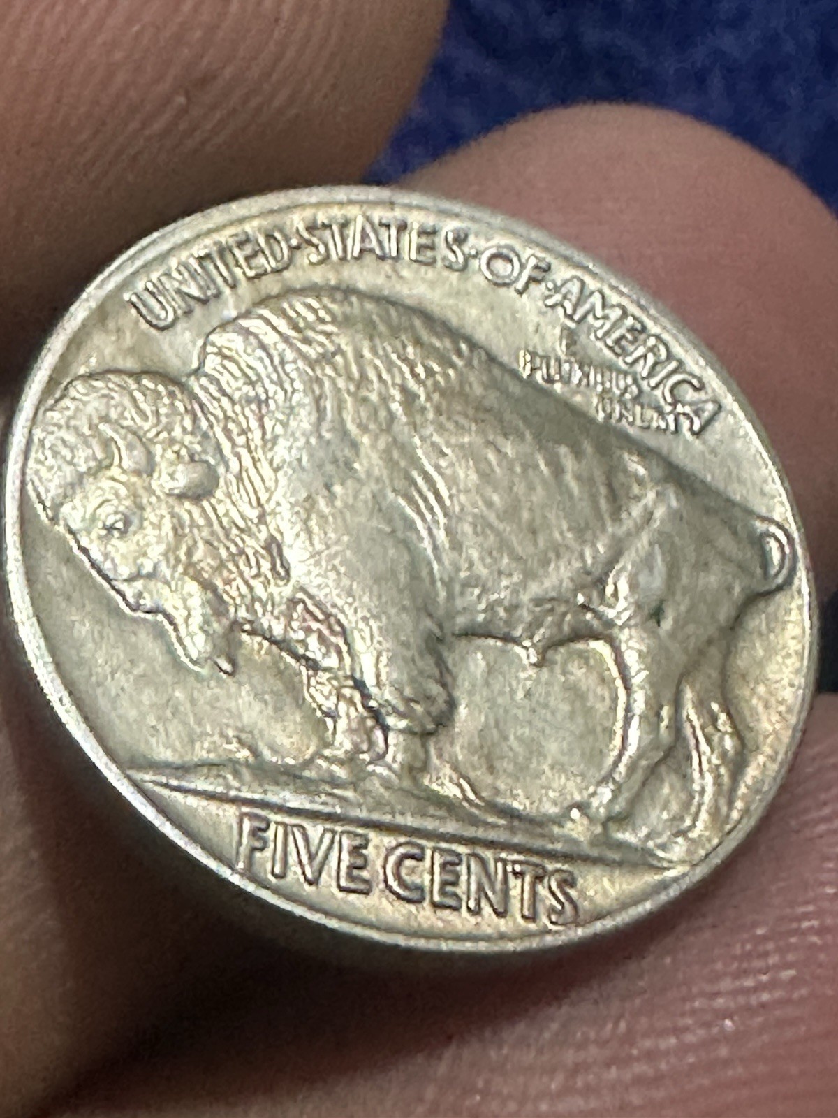 1935 Buffalo Nickel Coin Almost Uncirculated Full Horn 5 Cents