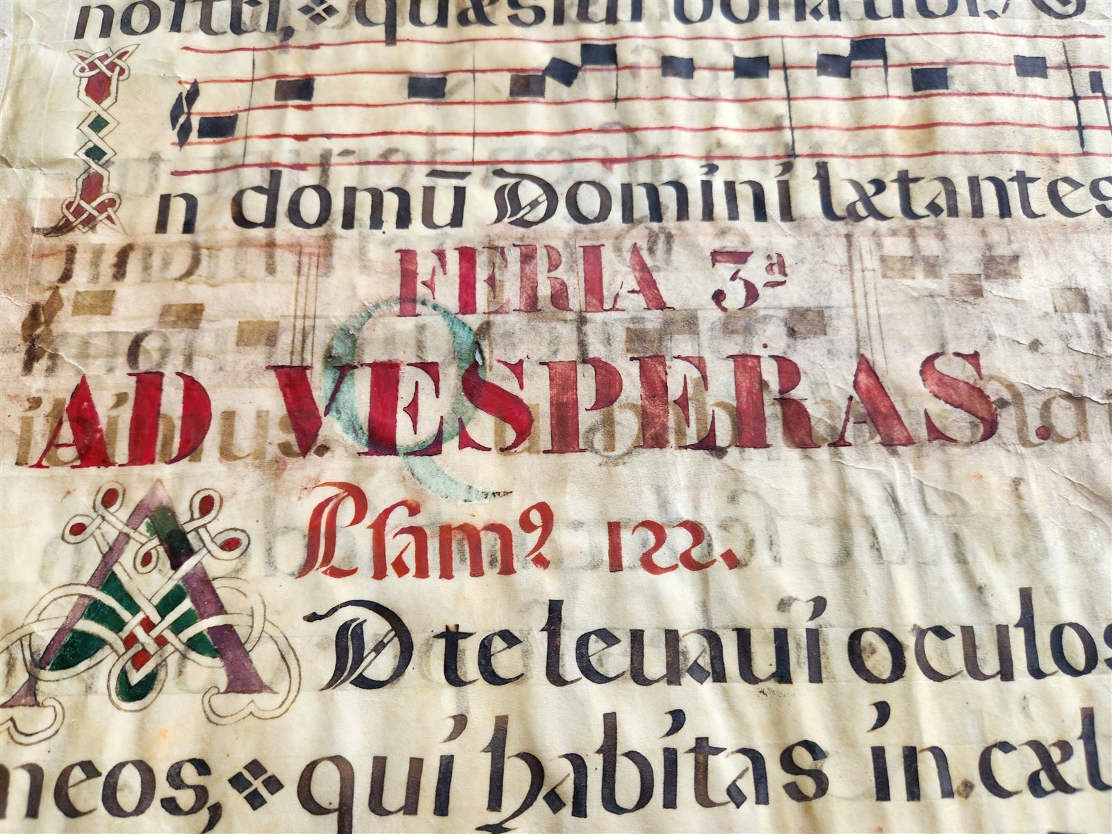 16th cent. ANTIPHONAL VELLUM MANUSCRIPT antique LITURGICAL TEXT in LATIN 18×27″