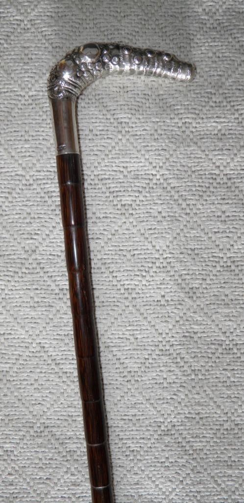 Edwardian Walking Stick / Cane – Hallmarked 1910 Silver Fritz Bamboo Rhizome
