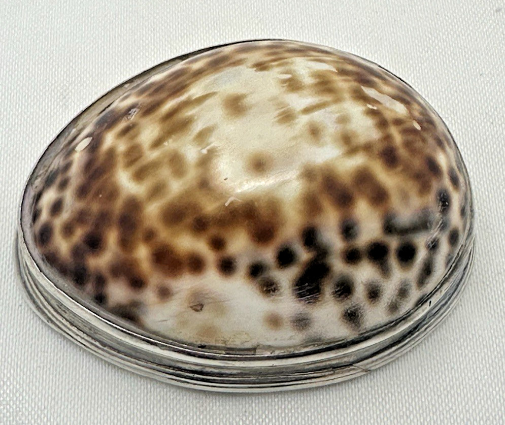 Circa 1780 Silver Mounted Cowrie Shell Snuff Box Antique
