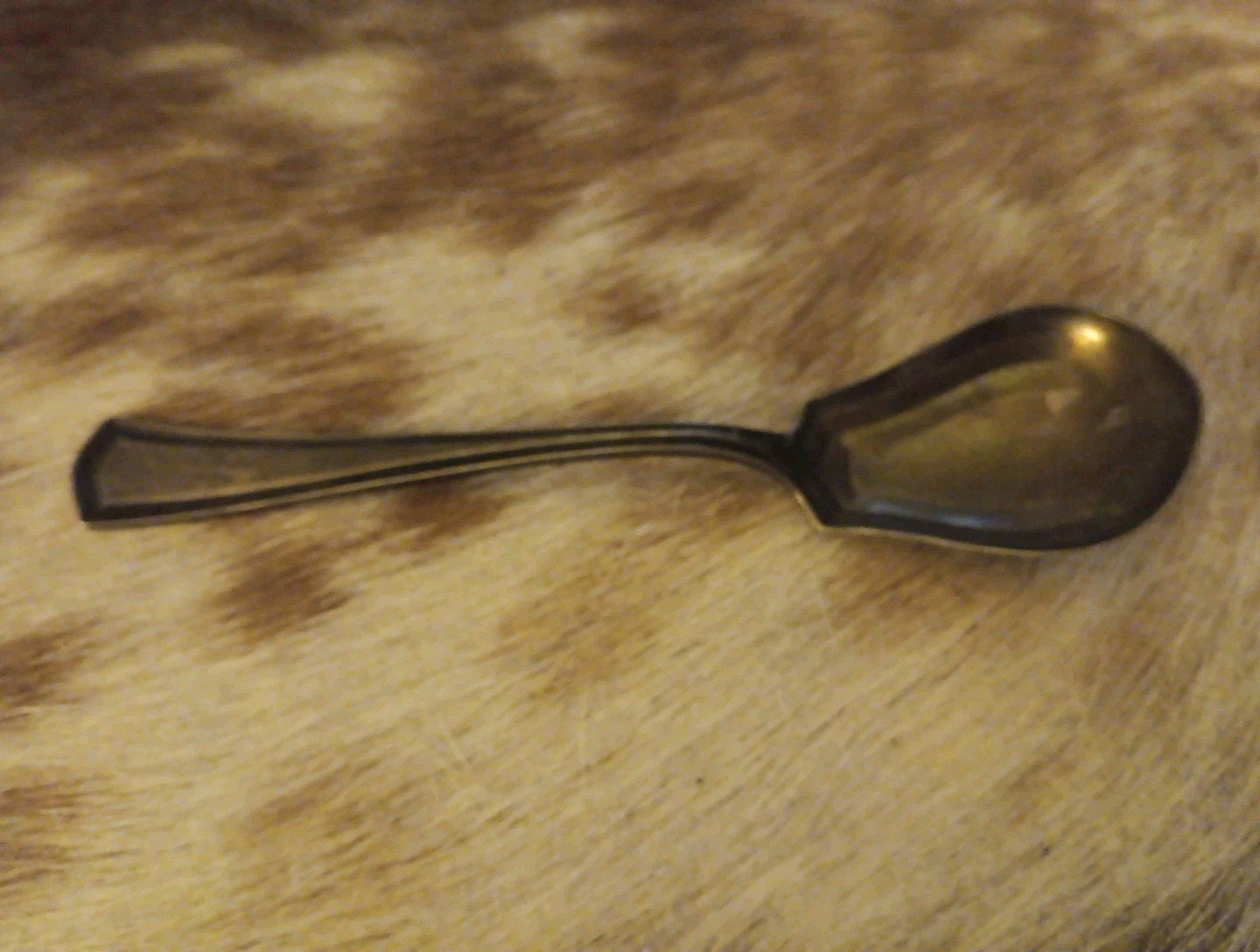 Alvin Patent George Washington ~ Sugar Spoon ~ 1913 Plate