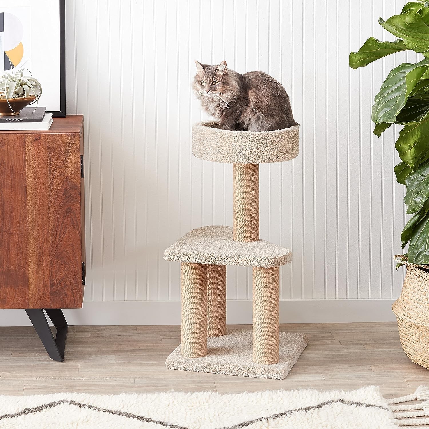 Amazon Basics Cat Tree – Indoor Cat & Kittens Multi-Level Climbing Activity Towe