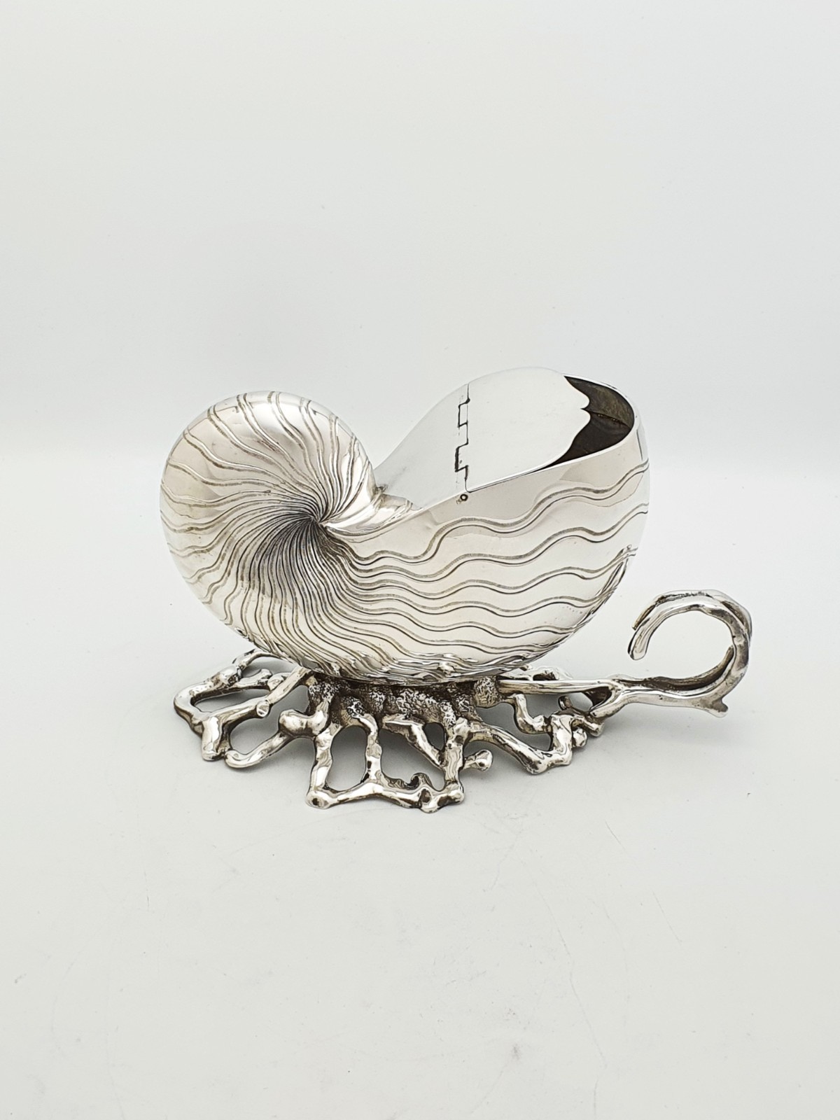 Gorgeous Antique Silver Plated Nautilus Shell Spoon Warmer – circa 1860