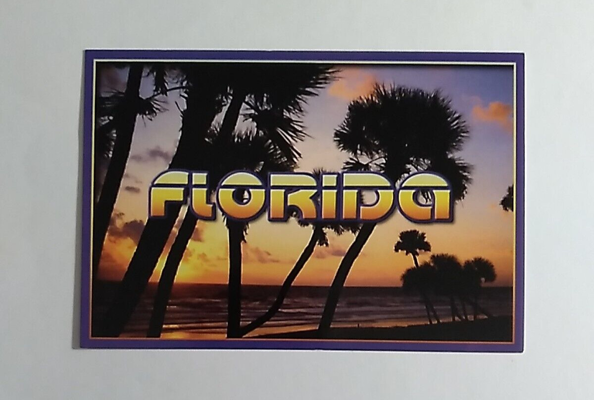 Postcard New Ormond Beach Fl unposted