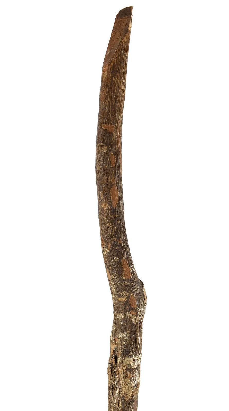 Zulu Knobkerrie Carved Wood Walking Stick Dori Collection