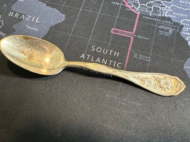 William Rogers (W.R.) Carnation Pattern – Pat Jan 14, 1908 – Teaspoon 6″ TX79